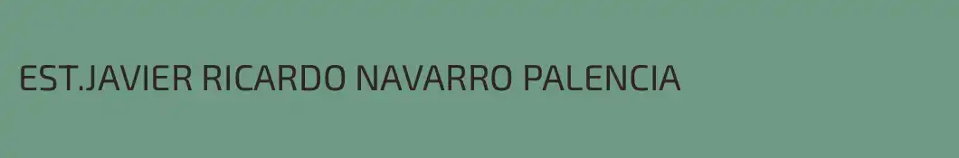 EST.JAVIER RICARDO NAVARRO PALENCIA